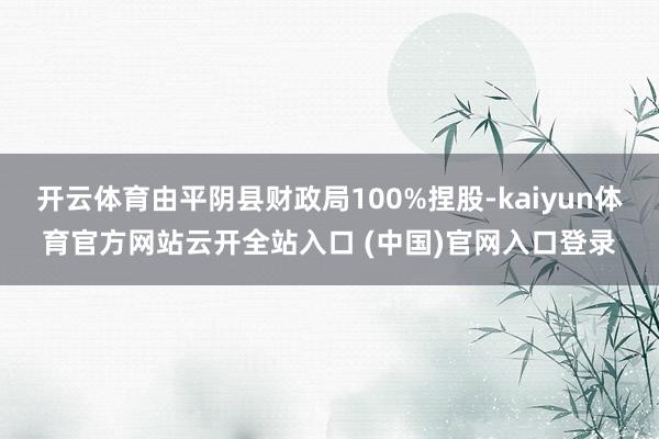 开云体育由平阴县财政局100%捏股-kaiyun体育官方网站云开全站入口 (中国)官网入口登录