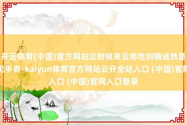 开云体育(中国)官方网站这时候来云南吃到确诚然是冷冻过的见手青-kaiyun体育官方网站云开全站入口 (中国)官网入口登录