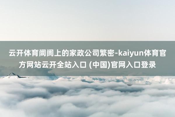 云开体育阛阓上的家政公司繁密-kaiyun体育官方网站云开全站入口 (中国)官网入口登录