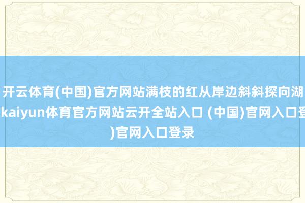 开云体育(中国)官方网站满枝的红从岸边斜斜探向湖面-kaiyun体育官方网站云开全站入口 (中国)官网入口登录