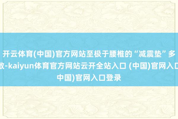 开云体育(中国)官方网站至极于腰椎的“减震垫”多处离散-kaiyun体育官方网站云开全站入口 (中国)官网入口登录