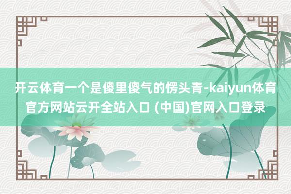 开云体育一个是傻里傻气的愣头青-kaiyun体育官方网站云开全站入口 (中国)官网入口登录
