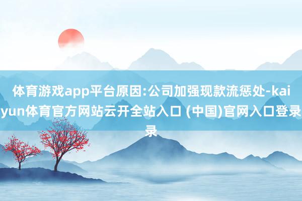 体育游戏app平台原因:公司加强现款流惩处-kaiyun体育官方网站云开全站入口 (中国)官网入口登录