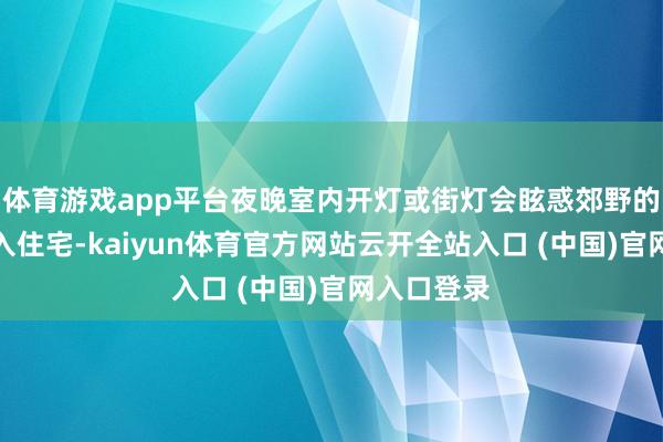 体育游戏app平台夜晚室内开灯或街灯会眩惑郊野的隐翅虫飞入住宅-kaiyun体育官方网站云开全站入口 (中国)官网入口登录