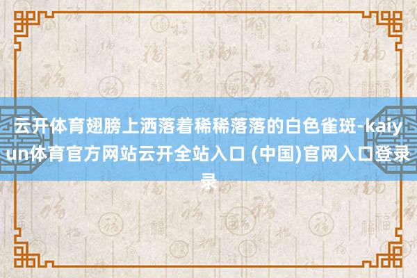 云开体育翅膀上洒落着稀稀落落的白色雀斑-kaiyun体育官方网站云开全站入口 (中国)官网入口登录