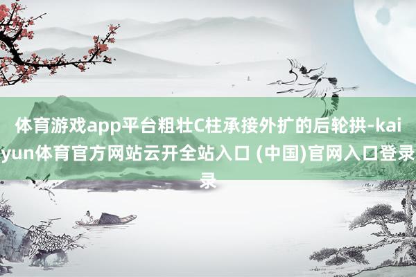 体育游戏app平台粗壮C柱承接外扩的后轮拱-kaiyun体育官方网站云开全站入口 (中国)官网入口登录